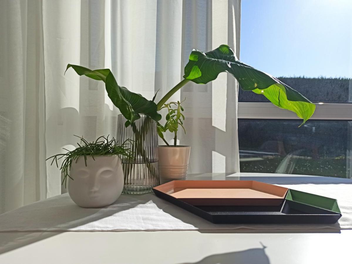 Apartament Bajo Con Jardin Privado Santander Zewnętrze zdjęcie